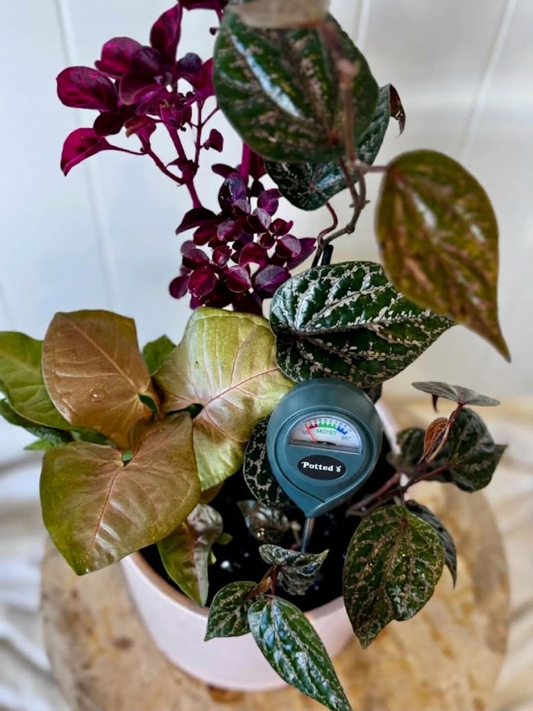 Indoor Moisture Meter Navy