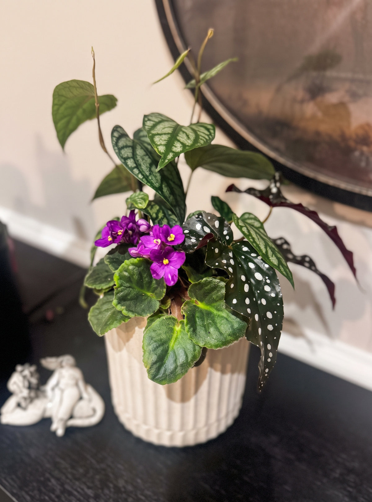 violet